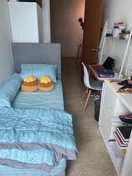 Sunshine Plaza (D7), Apartment #267564211